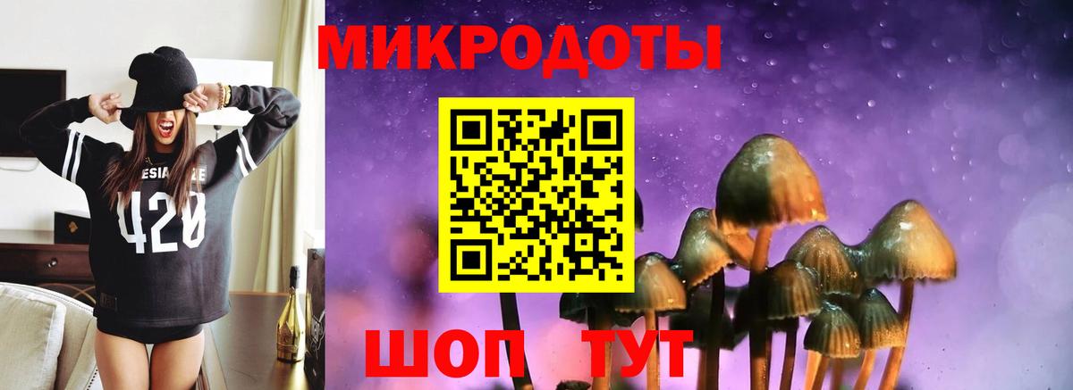 Волжский  Галлюциногенные грибы прущие грибы  Вход с VPN 